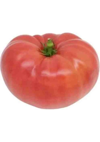 5 Adet Köylü Domatesi Ata Tohumu fırsatları