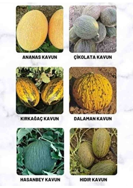 2000 Adet Karışık Cinste Kavun Tohumu