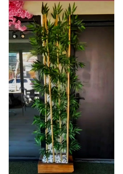 Yapay Bambu Ağacı Bamboo Seperatör Çubuk 2 mt Boyundadır.ahşap Saksıda Bambu