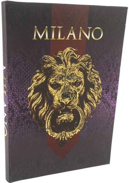 Milano Kitap Kutu 35X24X3 cm