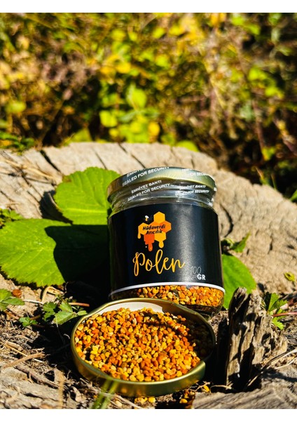 Polen 100 gr modelleri