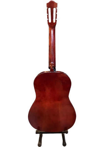 CG39NT Klasik Gitar + Kılıf