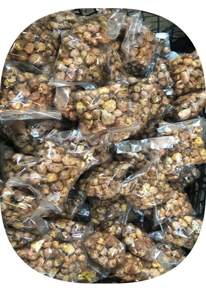 Net Tarım 10 Adet Kırmızı Peri Zambağı Soğanı ( Peri Zambak Yumrusu ) fiyatları
