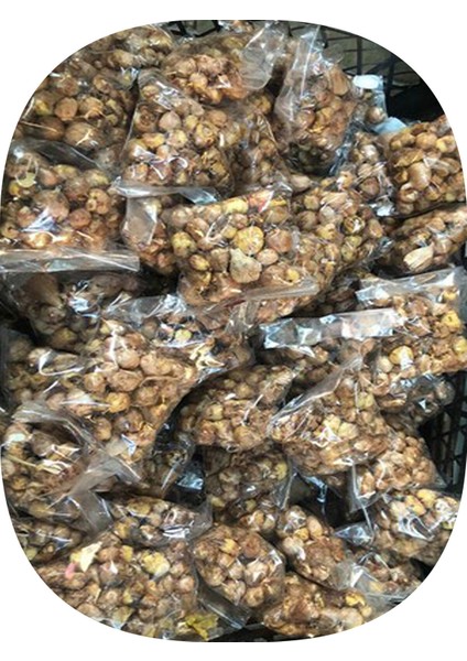 Net Tarım 20 Adet Sarı Peri Zambağı Soğanı ( Peri Zambak Yumrusu ) fiyatları