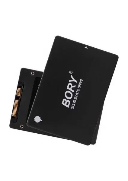 Bory 512GB 550/510MBPS R500-C512G Sata3 SSD Disk