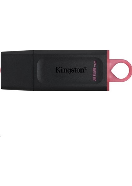 256 GB USB 3.2 Kingston Exodıa USB Bellek (DTX/256GB)
