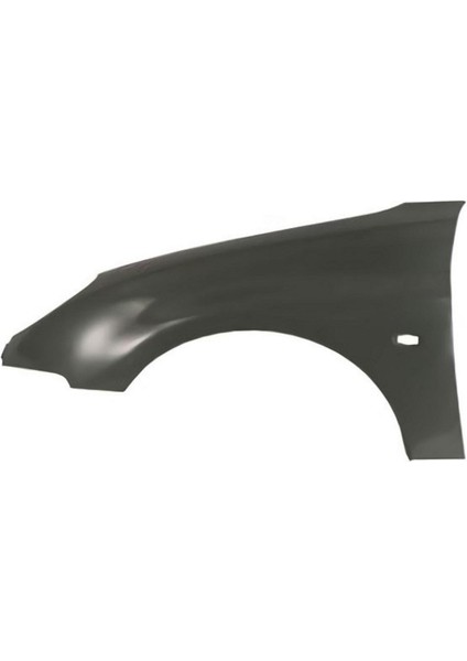 Ön Sol Çamurluk 206 (PG031G001BL-7840K0)