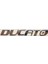 Fiat Ducato Arka Bagaj Yazısı 380MM-30MM 1355602080 1