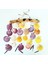 Renkli Deniz Kabuğu Sarkıtlı El Yapımı Rüzgar Çanı 12X40 cm - RZG28 1
