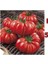 5 Adet Köylü Domatesi Ata Tohumu 1