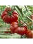 5 Adet Köylü Domatesi Ata Tohumu 5