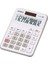 Casio hesap Makinesi 1