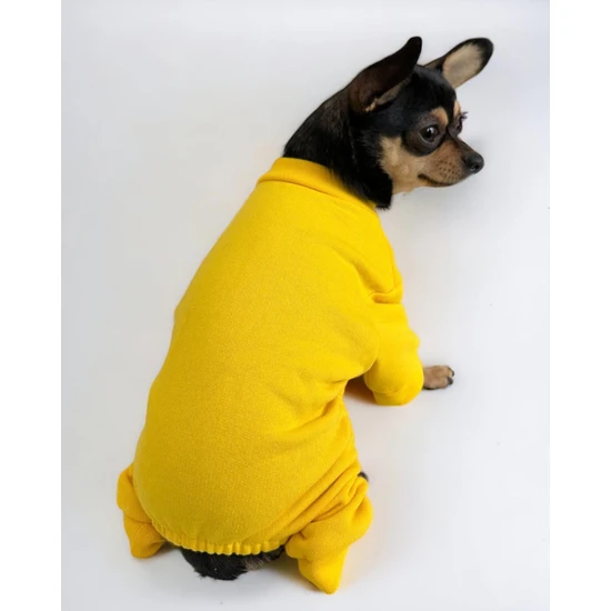 Paw Garage Yellow Polar Köpek Tulumu Köpek Kazağı Köpek Kıyafeti