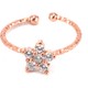  Renk Rose Gold