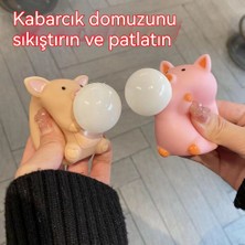 Bigsharp Basınç Azaltma ve Kabarcık Domuzcuk Dekompresyon Yoğurma ve Sıkma Kabarcık Oyuncak Tpr Dekompresyon ve Havalandırma Oyuncak Bebek Eseri (Yurt Dışından)