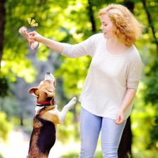 Hanyang Sosis Pet Köpek Yavrusu Peluş Gıcırtılı Dişler Çiğnemek Gıda Şekli Yumuşak Komik Oyun Ses Oyuncaklar Köpek Aksesuarları (Yurt Dışından)