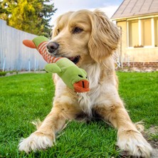 Hanyang Mavi Ördek Popüler Pet Köpek Kedi Komik Polar Dayanıklılık Peluş Köpek Oyuncakları Squeak Çiğneme Sesi Oyuncak Tüm Evcil Hayvanlar Için Fit Fil Ördek Domuz Peluş Oyuncaklar (Yurt Dışından)