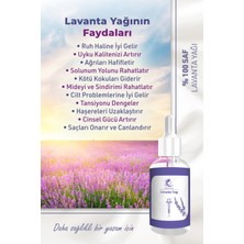 Love'nta Cosmetics %100 Saf & Doğal Uçucu Lavanta Yağı / Lavandula Angustifolia -  LOVE103