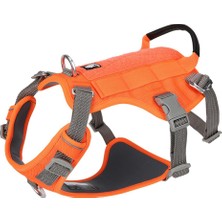 True Love Tactical Turuncu Köpek Göğüs Tasması