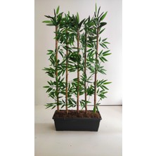 Rüzgar Çiçekçilik 1 Metre 5li Bambu