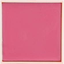 Dora Joy Yedek / Refill Krem Ruj & Allık 01 Wild Pink Cream Lip & Cheek