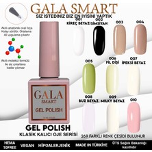 Gala Smart Classic Kalıcı Oje 10 Mle NO:033