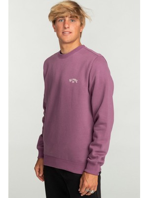 Billabong Arch Cr Erkek Sweatshirt EBYFT00113 EBYFT00113005