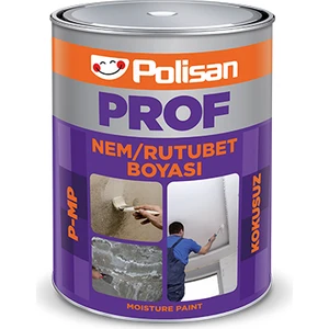Prof Beyaz Kokusuz Nem ve Rutubet Boyası (P-Mp) 1kg