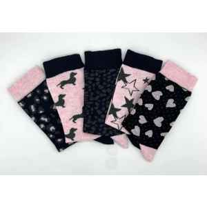 Ciho Socks Daily 5 Çift Kadın Pamuklu Günlük Spor Desenli Eğlenceli Soket Çorap