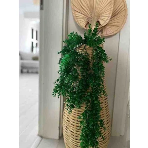 Hasır Vazo Pampas Vazosu Çin Vazosu Çiçeklik