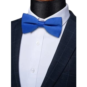 Erkek Düz Renk Saten Papyon