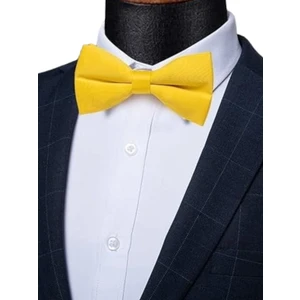 Erkek Düz Renk Saten Papyon