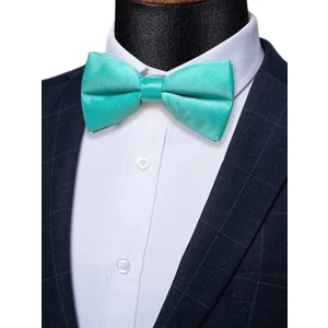 Erkek Düz Renk Saten Papyon