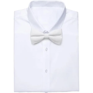 Mood Agenda Erkek Düz Renk Saten Papyon