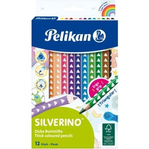 Silverino Jumbo Üçgen Kuru Boya Kalemi 12LI Kutu