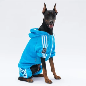 Turkuaz Tuta Orta-Büyük Irk Köpek Tulumu