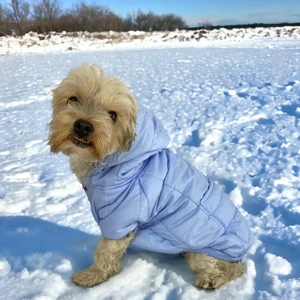 Baby Blue Comfy Köpek Montu Köpek Ceketi Köpek Dış Giyim
