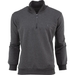 Erkek Mevsimlik Yarım Fermuarlı Dik Yaka Uzun Kollu Armalı Rahat Likralı Pamuklu İki Iplik Sweatshirt