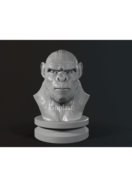 Maymun Kral 20 cm ( Dev Boyut )
