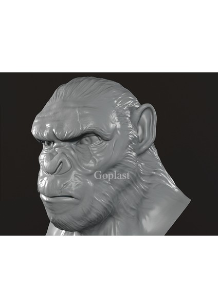 Maymun Kral 20 cm ( Dev Boyut )