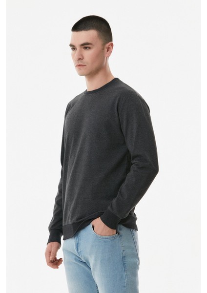 Basic Bisiklet Yaka Sweatshirt modelleri