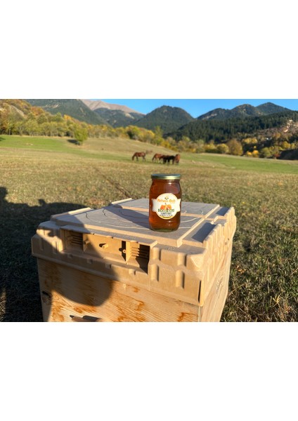 Tadımlık Yayla Balı 485 gr