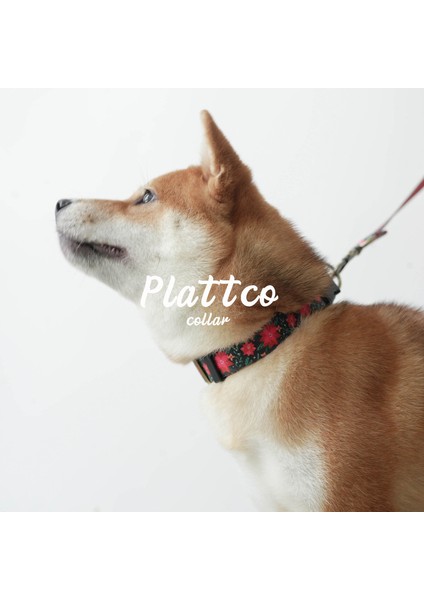 Bigsharp Yeni Taklit Naylon Baskı Noel Çiçek Tasması Çekme Kayışı Yay Seti Pürüzsüz Rahat Eğitim Köpek Kayışı (Yurt Dışından) modelleri