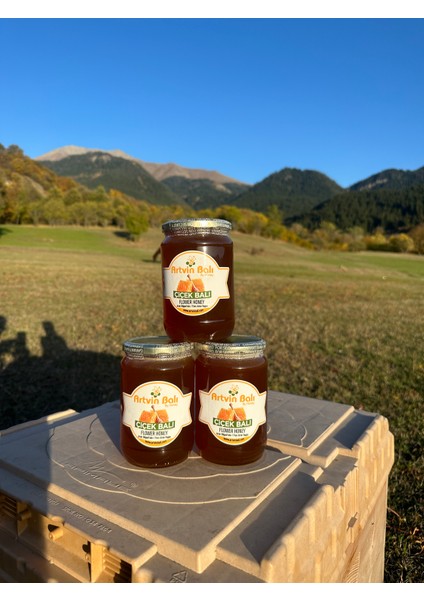 Bal Sever Yayla Balı 2850 gr
