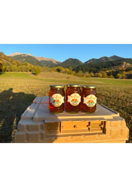 Bal Sever Mini Yayla Balı 1455 gr