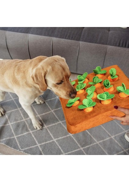 22X22CM Köpek Oyuncakları Peluş Havuç Snuffle Mat Pet Sebze Çiğneme Oyuncağı Yenilikçi Gizle Gıda Çekme Turp Yeme Alışkanlıklarını Geliştirin Interaktif Oyuncaklar (Yurt Dışından)