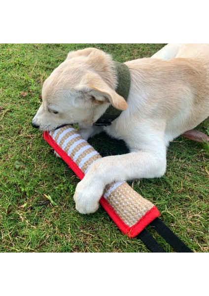 A5 Isırmaya Dayanıklı Köpek Halat Oyuncak Keten Pet Interaktif Sopa Tasarım Köpek Çiğneme Halatı Yavru Diş Çıkarma Oyuncak Pet Malzemeleri Köpek Yavrusu Şekerleri (Yurt Dışından) modelleri