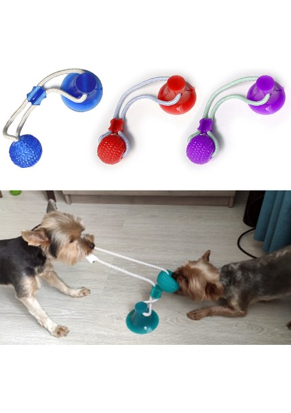 Yeşil Köpek Oyuncakları Köpek Interaktif Vantuz Itme Tpr Topu Oyuncaklar Pet Molar Bite Oyuncak Elastik Halat Köpek Diş Temizleme Çiğneme Damla Alışveriş (Yurt Dışından) fiyatları