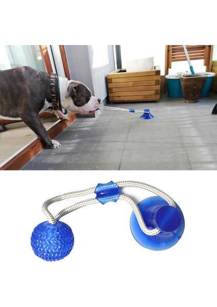 Yeşil Köpek Oyuncakları Köpek Interaktif Vantuz Itme Tpr Topu Oyuncaklar Pet Molar Bite Oyuncak Elastik Halat Köpek Diş Temizleme Çiğneme Damla Alışveriş (Yurt Dışından) indirimleri