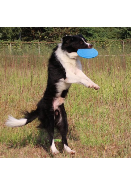 Yeşil Kauçuk Uçan Daire Interaktif Köpek Oyuncak Büyük Köpekler Için Yumuşak Köpek Aksesuarları Köpek Eğitim Kaynağı Bulmaca Aktivite Oyunu Çiğneme Makineleri (Yurt Dışından)